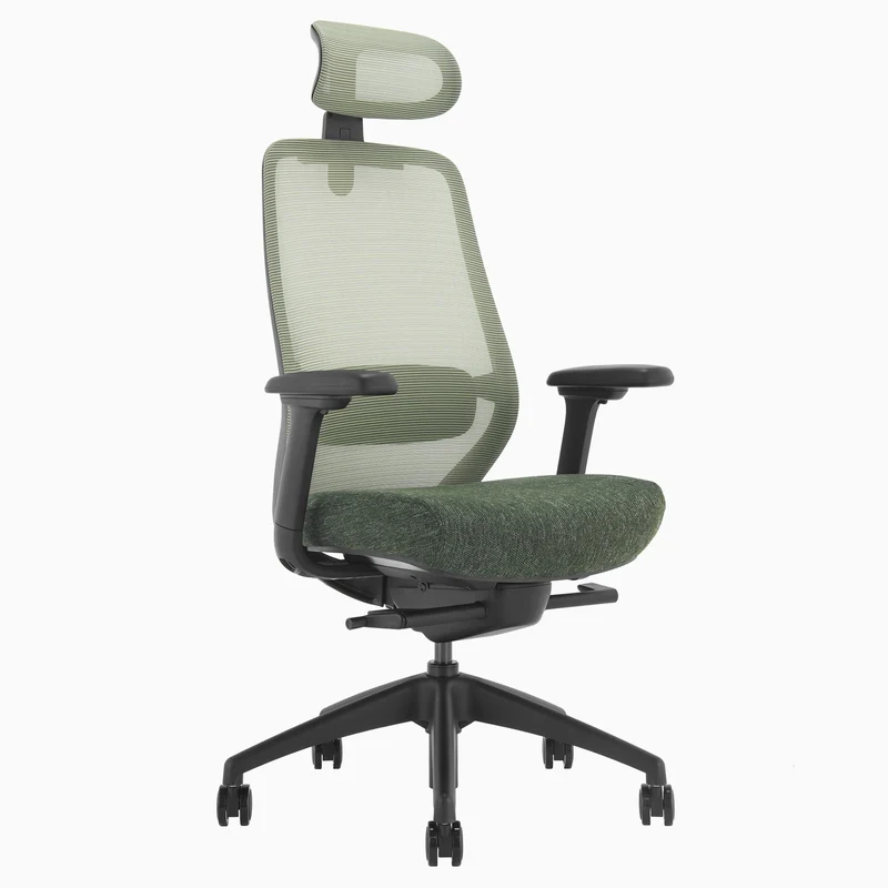 Desky CoilFlex Ergonomic Office Chair - Dark Green / Headrest