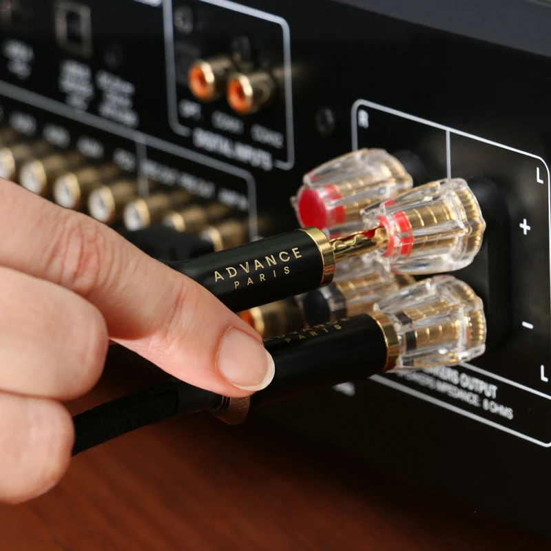 LINK Speaker