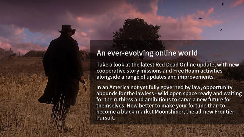 PS4 game Red Dead Redemption 2 for PlayStation 4
