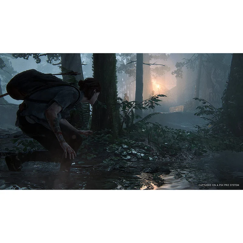 PS4 Game - The Last of Us Part II - The Last of us 2 for Playstation 4 (R3)