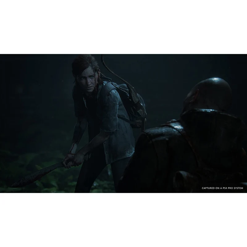PS4 Game - The Last of Us Part II - The Last of us 2 for Playstation 4 (R3)