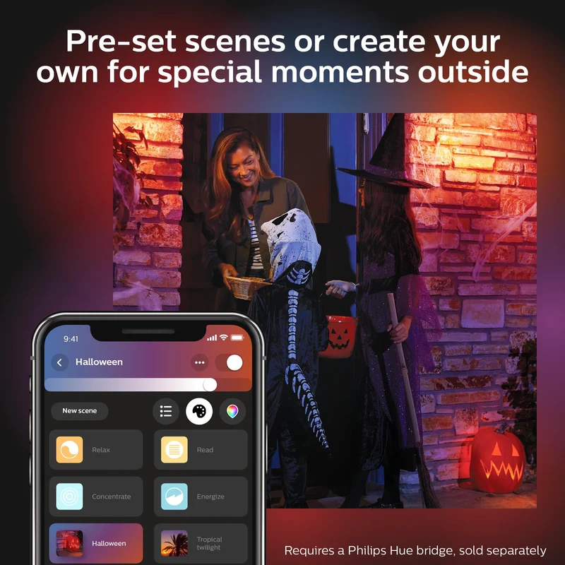 Philips Hue Outdoor Discover Flood Light