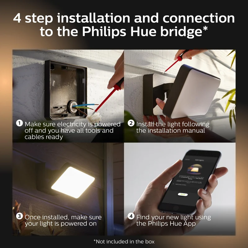 Philips Hue Outdoor Discover Flood Light