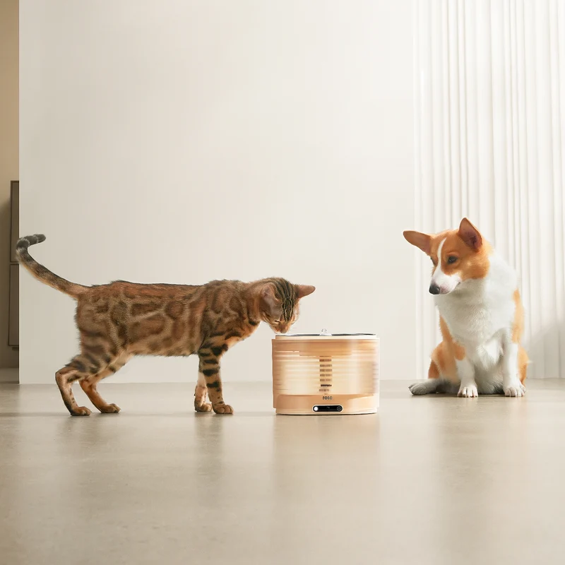 ROLA Smart Water Fountain - Wired