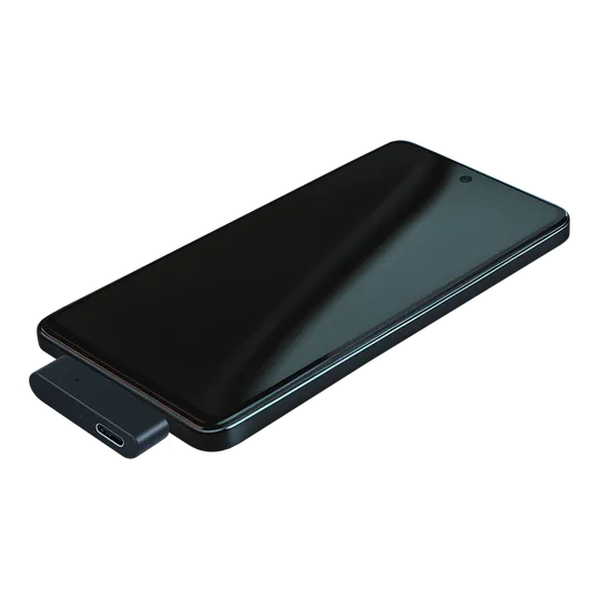 Bernafon Easy LE Adapter