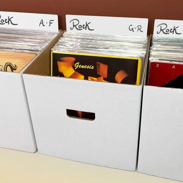 BCW 12-Inch Record Divider - Tall (White)