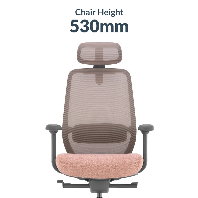 Desky CoilFlex Ergonomic Office Chair - Black / No Headrest