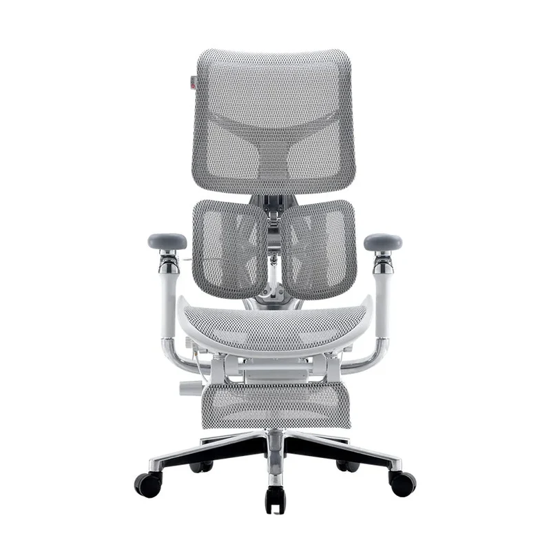 Sihoo DORO-S300-Ergonomic Office Chair with Footrest (Grey)