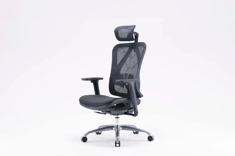 Sihoo M57 Pro Ergonomic Office Chair Mesh (Black)