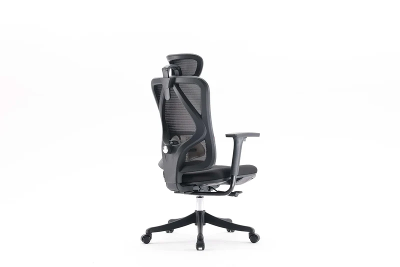 Sihoo M18 Pro Ergonomic Office Chair Mesh (Black)