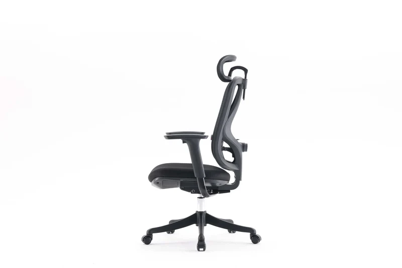 Sihoo M18 Pro Ergonomic Office Chair Mesh (Black)