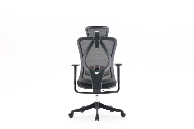 Sihoo M18 Pro Ergonomic Office Chair Mesh (Black)