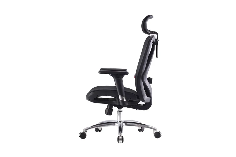 Sihoo M57 Ergonomic Office Chair (Black)