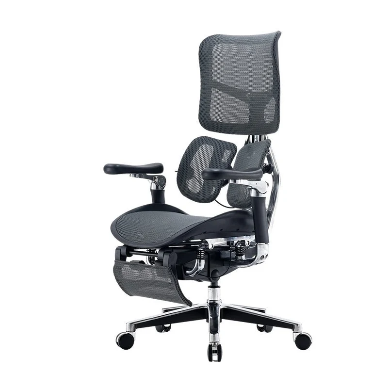 Sihoo DORO-S300-Ergonomic Office Chair with Footrest (Black)