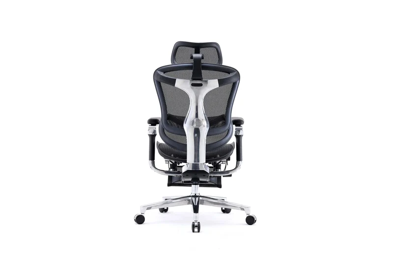 Sihoo DORO-C500 Ergonomic Office Chair with Footrest (Black)