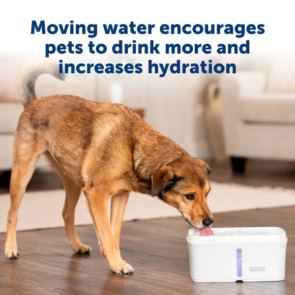PetSafe® Viva™ Pet Fountain, 4.1 litre, Plastic Tray