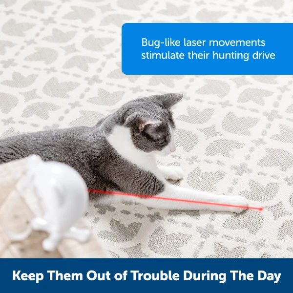 PetSafe® Dancing Dot™ Laser Cat Toy