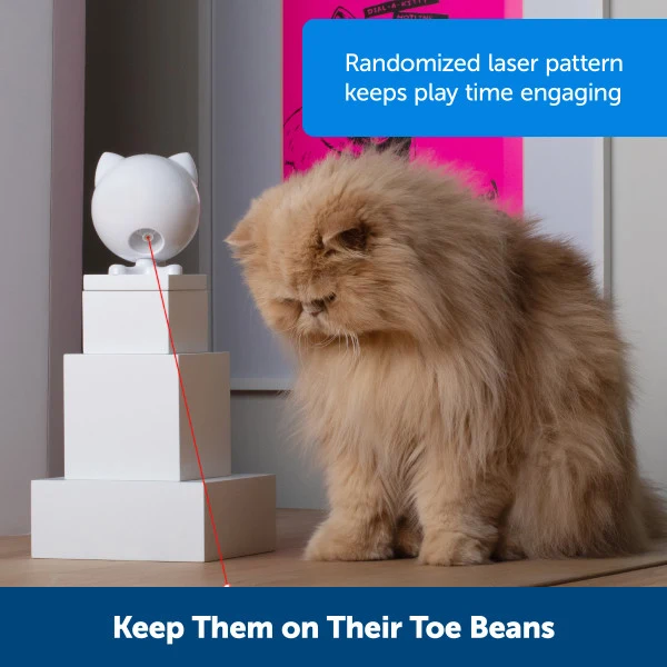 PetSafe® Dancing Dot™ Laser Cat Toy