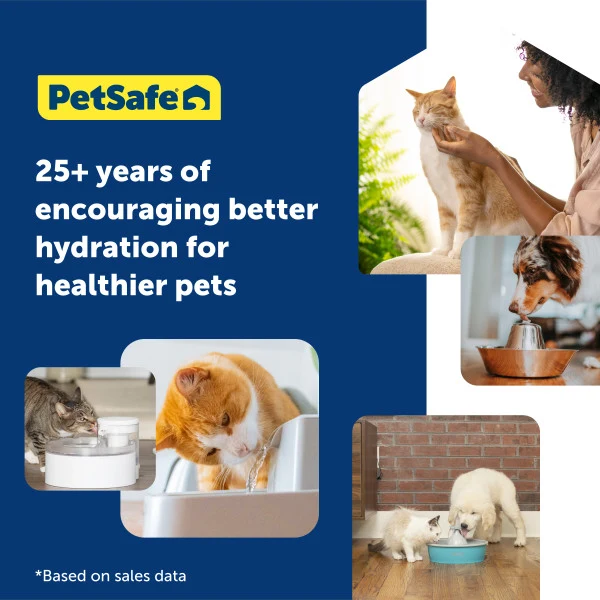 PetSafe® Drinkwell® 1.8 litre Pet Fountain