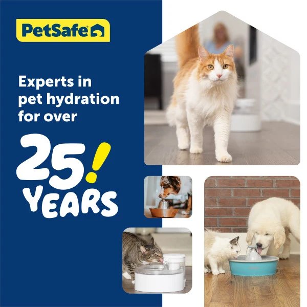 PetSafe® Outlast™ 1.7 Litre Pumpless Pet Fountain