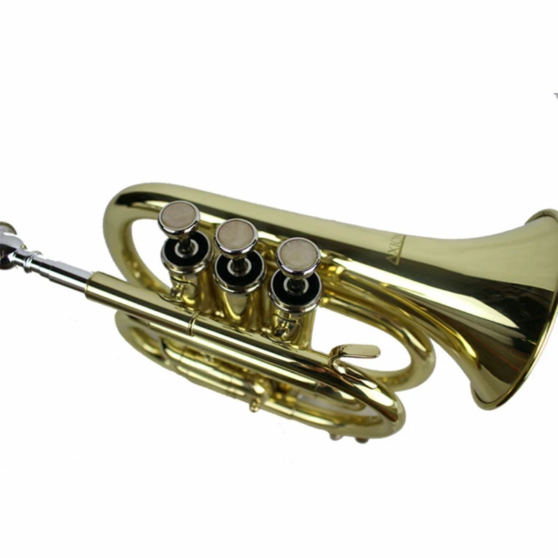 Axiom Pocket Trumpet Outfit