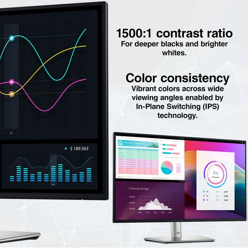Dell P2425H 24" Full HD, (1920 x 1080) Display, 16:9 IPS, LED, 100Hz Monitor Bundle