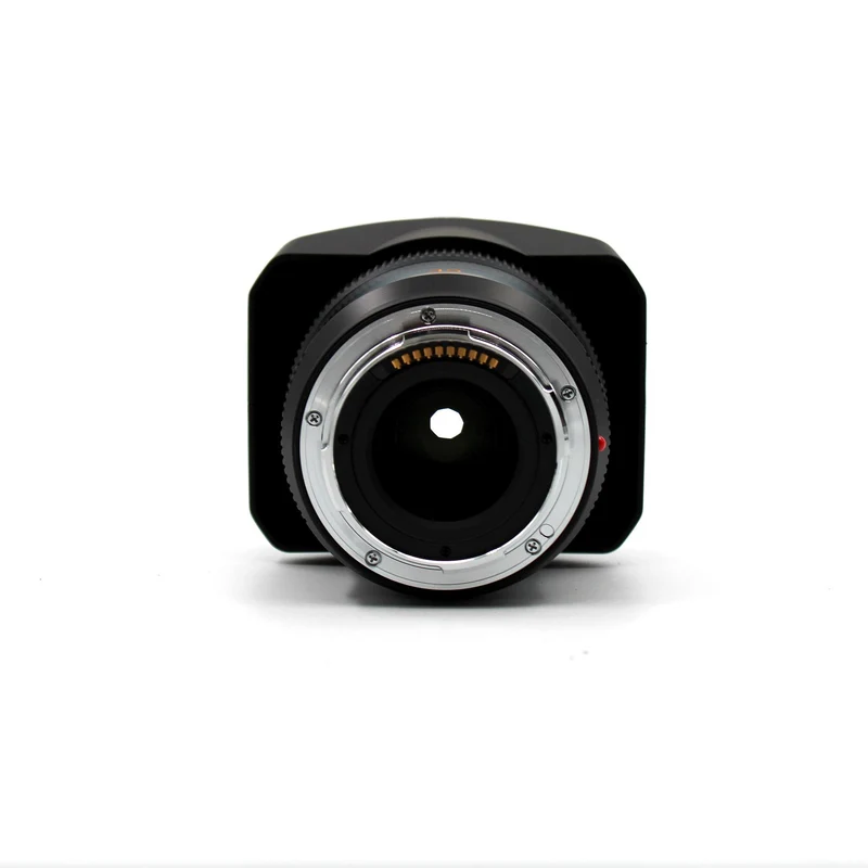 Leica APO-SUMMICRON-SL 35mm f/2 Aspherical Lens for SL & T System Cameras
