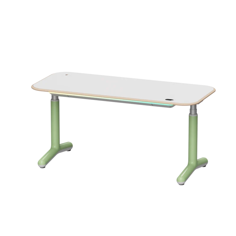 9am HOME Dora Pro Hardwood Smart Electric Standing Desk - (White Birch Plywood Top)(1600*700mm)