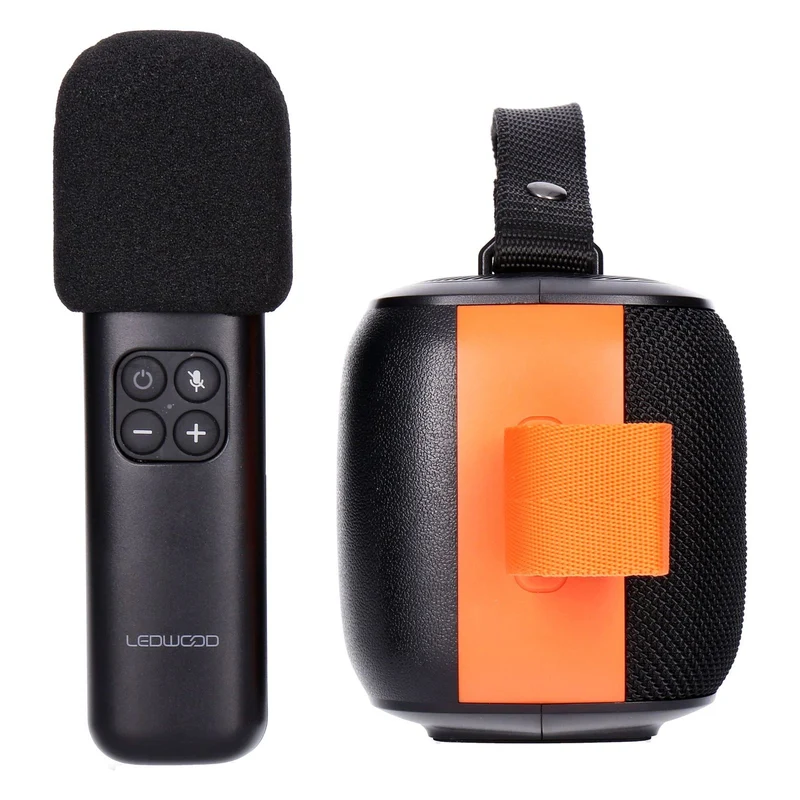 Ledwood ACCESS130 tragbarer Bluetooth Lautsprecher für Karaoke mit drahtlosem Mikrofon