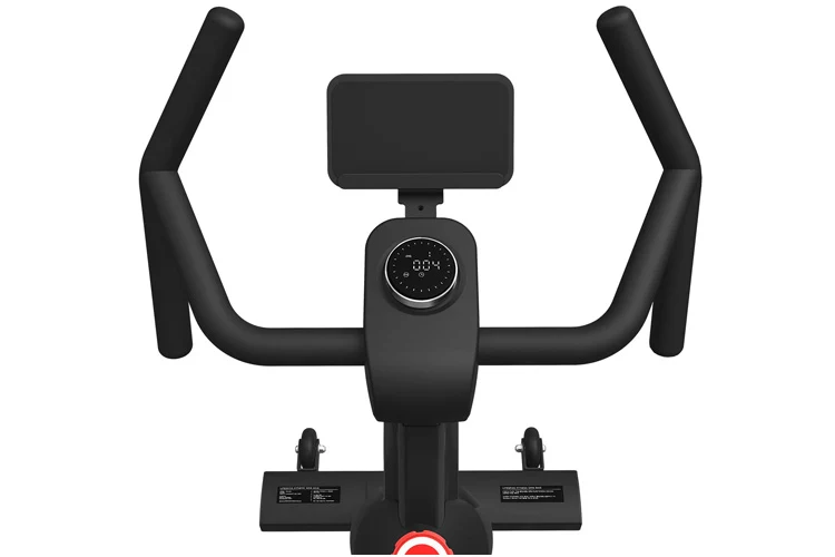 Lifespan Fitness SM-420 Spin Bike with Magnetic Resistance