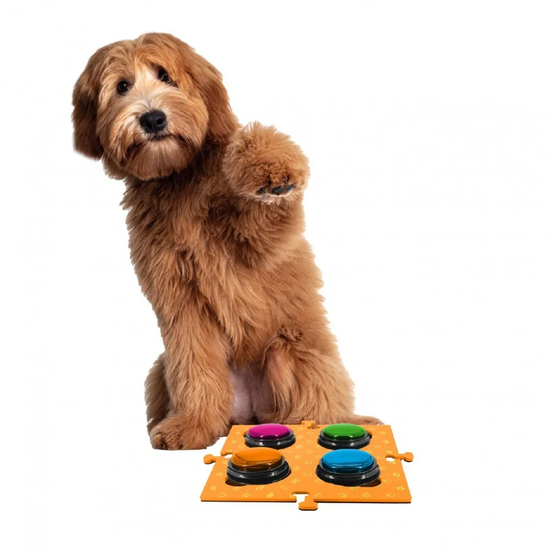 Tech4Pets 2PK Mat Board Organiser Storage Holder For Talking Buttons/Floor ORNG
